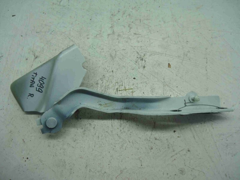 Изображение товара 10010 - 00010010 petlya kapota pravaya