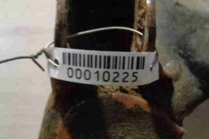 Изображение товара 10225 - 00010225 rychag perednij pravyj nizhnij SEAT Leon