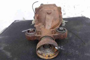 Изображение товара 16589 - 00016589 reduktor zadnij Renault Sandero