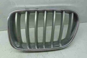 Изображение товара 17167 - 00017167 reshetka radiatora 