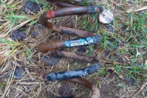 Изображение товара 17502 - 00017502 pruzhina zadnyaya 