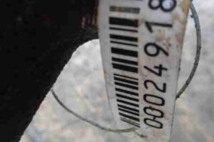 Изображение товара 24918 - 00024918 kulak povorotnyj pravyj Renault Sandero 2