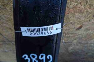 Изображение товара 29656 - 00029656 dver zadnyaya levaya Renault Sandero 3