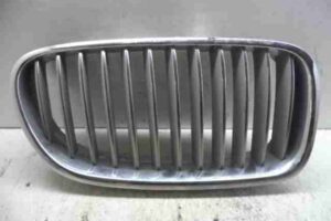 Изображение товара 30685 - 00030685 zaglushka (reshetka) v bamper 