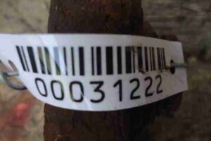 Изображение товара 31222 - 00031222 rychag perednij levyj verkhnij 2