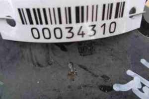 Изображение товара 34310 - 00034310 amortizator perednij pravyj 3