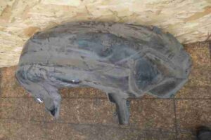 Изображение товара 35075 - 00035075 podkrylok zadnij pravyj Peugeot 306 3