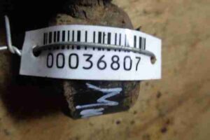 Изображение товара 36807 - 00036807 amortizator zadnij levyj Lexus RX 1