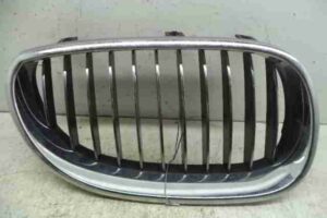 Изображение товара 40134 - 00040134 zaglushka (reshetka) v bamper