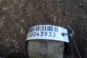 Изображение товара 43933 - 00043933 rychag zadnij pravyj verkhnij Lexus LS 2