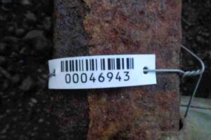 Изображение товара 46943 - 00046943 usilitel bampera zadnij Peugeot 306