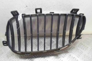 Изображение товара 56336 - 00056336 zaglushka (reshetka) v bamper 1