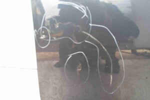 Изображение товара 58198 - 00058198 dver perednyaya pravaya Toyota Hiace