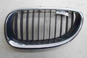 Изображение товара 64001 - 00064001 reshetka radiatora 