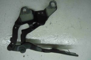 Изображение товара 65268 - 00065268 petlya kapota levaya 