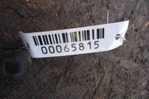 Изображение товара 65815 - 00065815 amortizator kapota Ford Ka