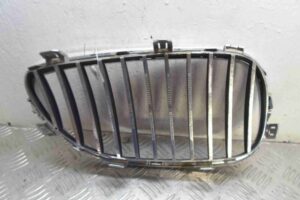 Изображение товара 83875 - 00083875 zaglushka (reshetka) v bamper 1