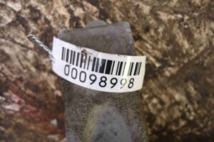 Изображение товара 98998 - 00098998 kulak povorotnyj levyj Chevrolet Aveo