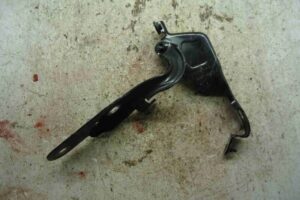 Изображение товара 100000 - 00100000 petlya kapota pravaya 