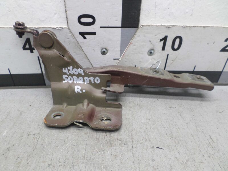 Изображение товара 106504 - 00106504 petlya kapota pravaya Audi TT