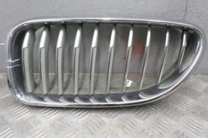 Изображение товара 121205 - 00121205 reshetka radiatora 