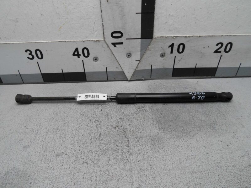 Изображение товара 136859 - 00136859 amortizator kapota