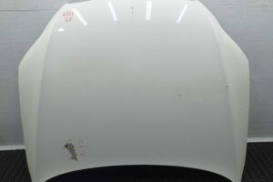 Изображение товара 139869 - 00139869 kapot 