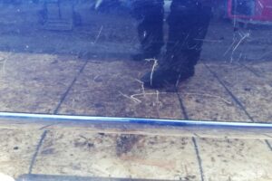 Изображение товара 203387 - 00203387 dver zadnyaya pravaya Volkswagen Touran 3