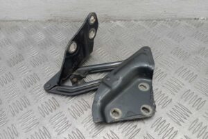 Изображение товара 230835 - 00230835 petlya kapota levaya Toyota Matrix