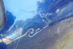 Изображение товара 261w29948 - 01188261 (3)