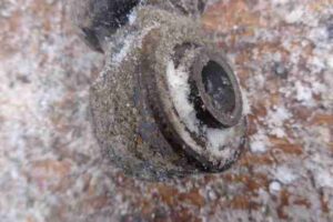 Изображение товара 11106 - 00011106 amortizator zadnij levyj Audi TT 2