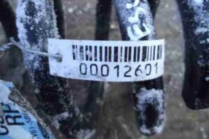 Изображение товара 12601 - 00012601 pruzhina zadnyaya   1