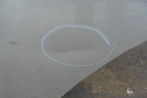 Изображение товара 2503w7989 - DSC018422503