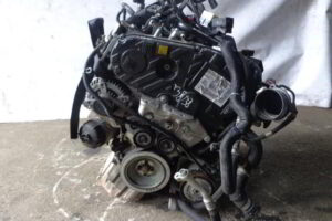 Изображение товара 56203 - DSC020043287 (1)