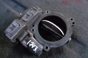 Изображение товара 1743w26152 - DSC089611743